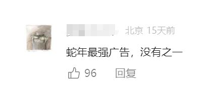堪称蛇年最强广告耐克《过个狠年》(图13)